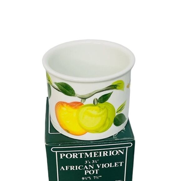 Portmeirion Succulent Plant African Violet Cache Pot Summer Fruits - Picture 1 of 5